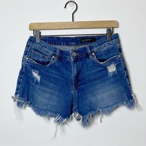 Blank NYC Fulton Frayed Distressed Denim Jean Shorts